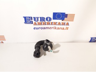 Radiator Lower Hose
